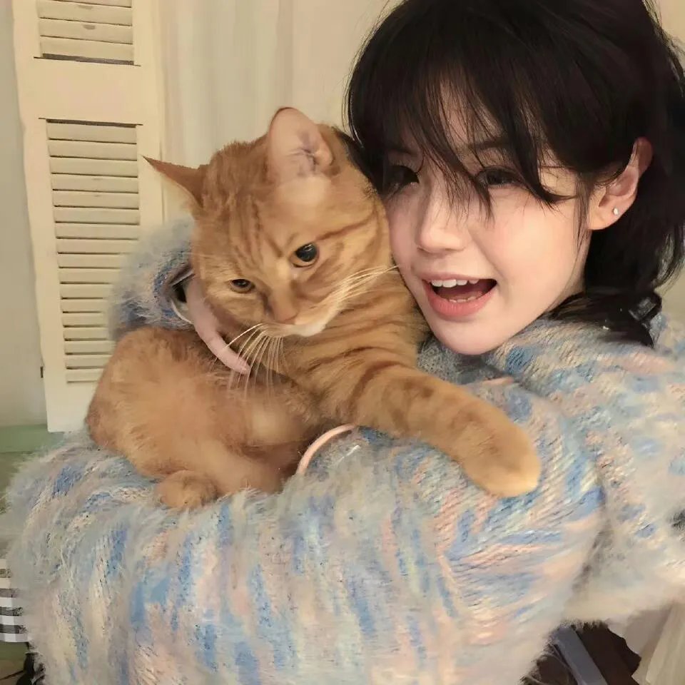 芭比之公主的力量